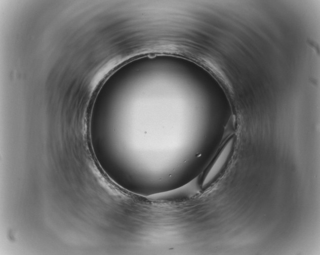 X0000100230944200805301409