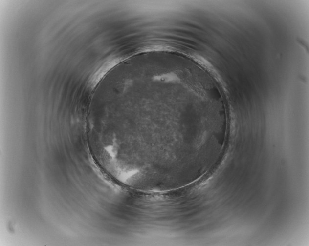 X0000100230945200805301409