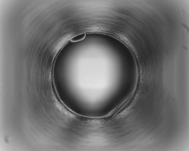 X0000100230946200805301409
