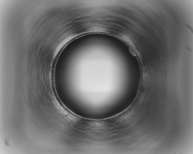 X0000100230947200805301409