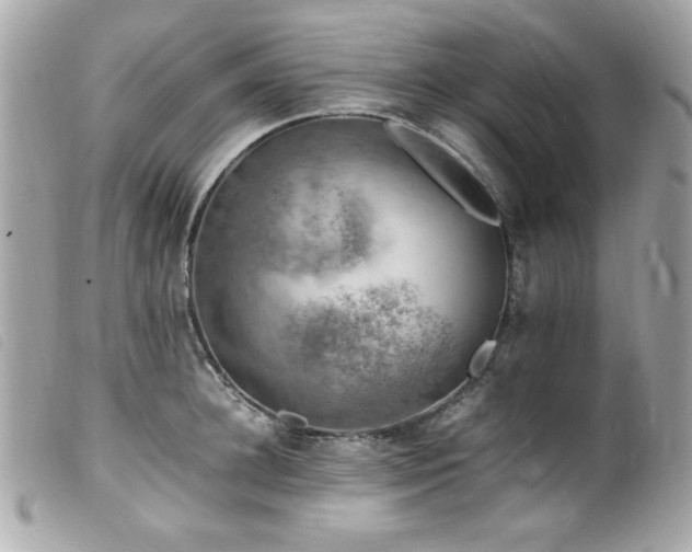 X0000100230948200805301409