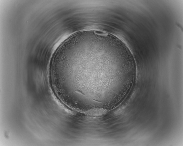 X0000100230949200805301409