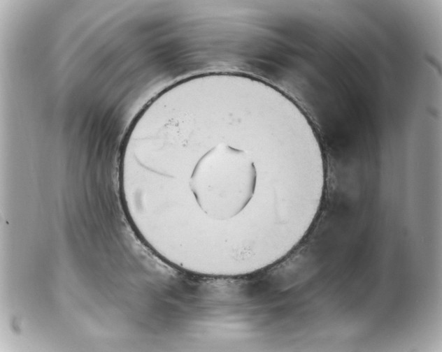 X0000100230950200805301409