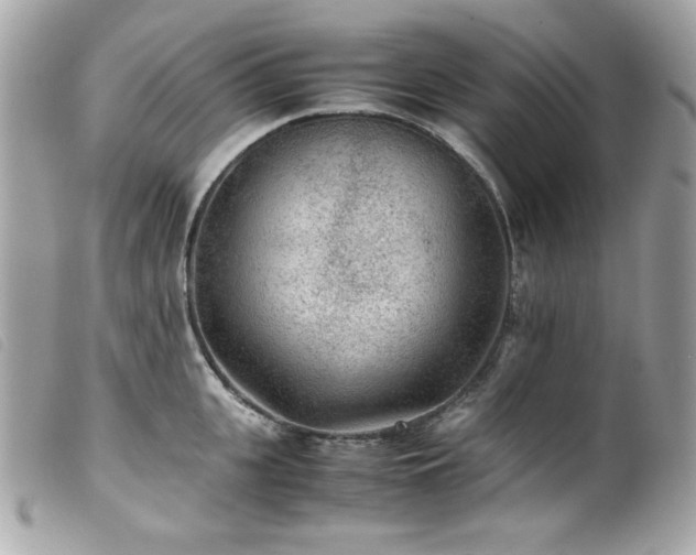 X0000100230951200805301409