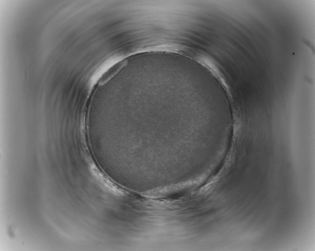 X0000100230952200805301409