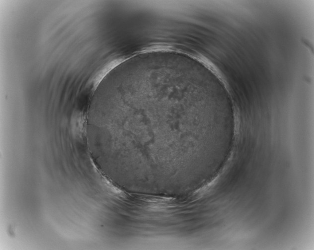 X0000100230953200805301409