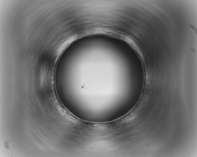 X0000100230954200805301409
