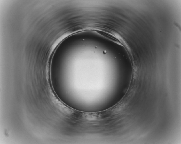 X0000100230955200805301409