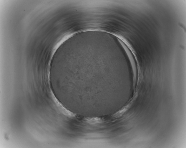 X0000100230957200805301410
