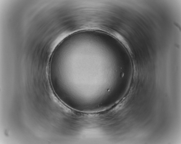 X0000100230958200805301410