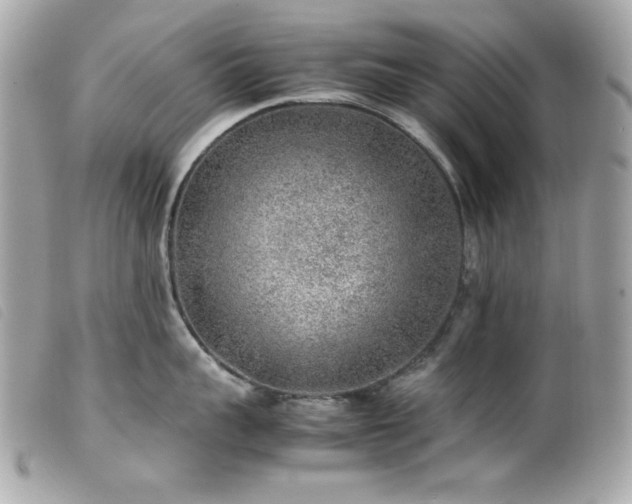 X0000100230959200805301410