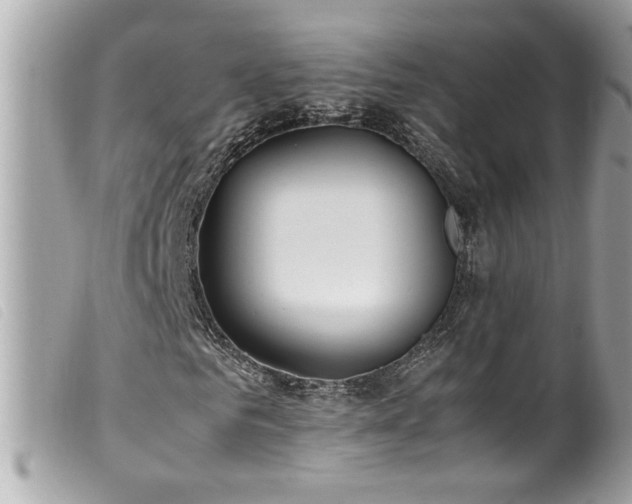 X0000100230961200805301409