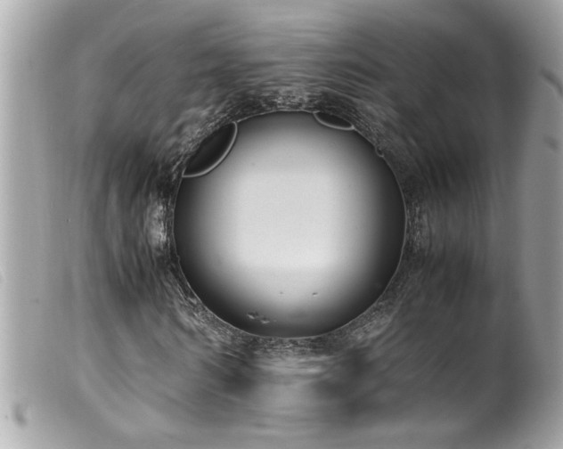 X0000100230962200805301409