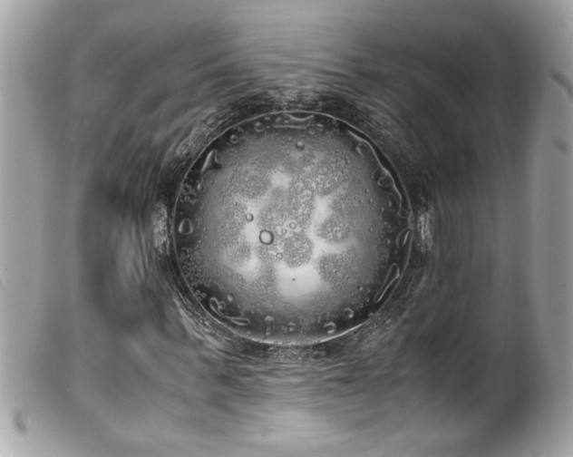 X0000100230963200805301409