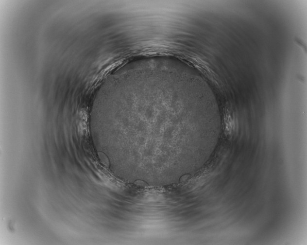 X0000100230964200805301409
