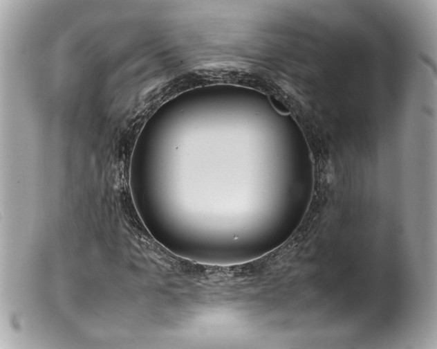 X0000100230965200805301409