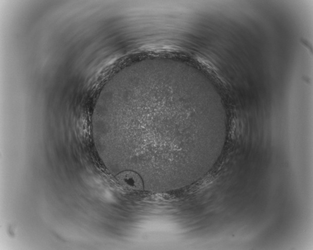 X0000100230966200805301409