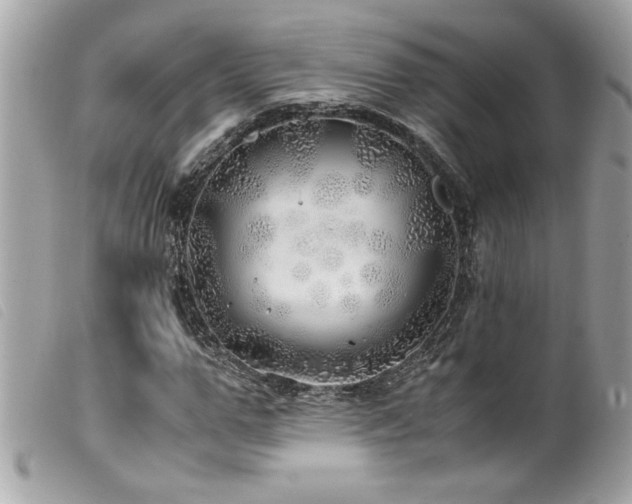 X0000100230967200805301409