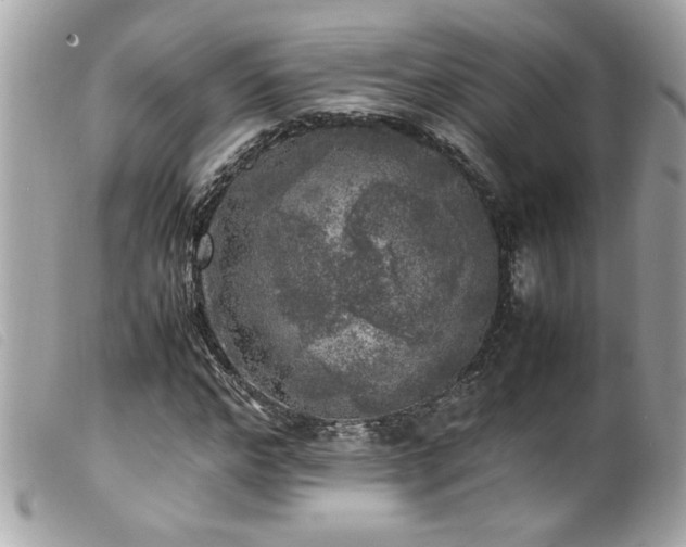 X0000100230968200805301409