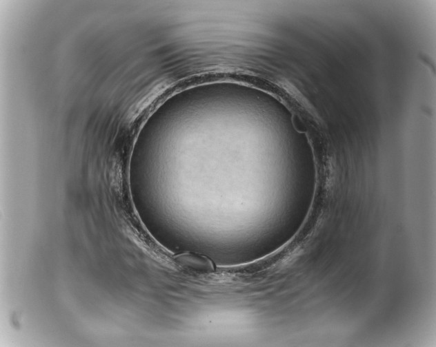 X0000100230969200805301409