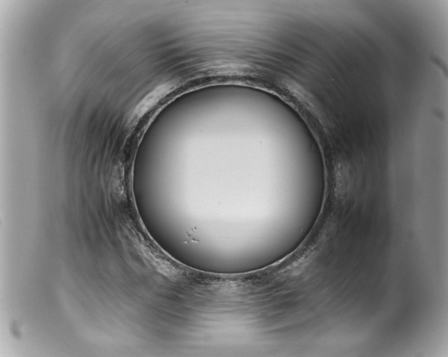 X0000100230970200805301409