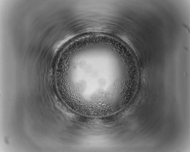 X0000100230971200805301409