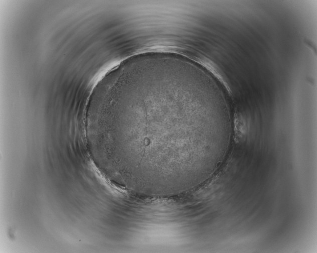 X0000100230972200805301409