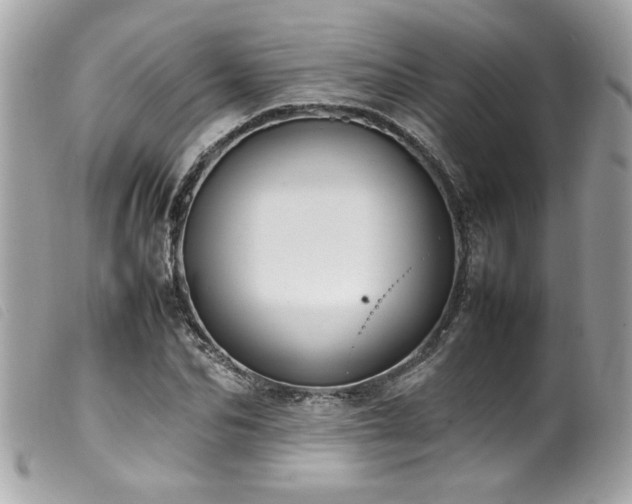 X0000100230974200805301409