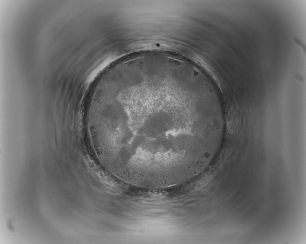 X0000100230975200805301409