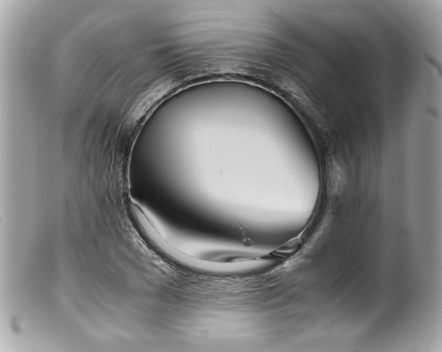 X0000100230977200805301409