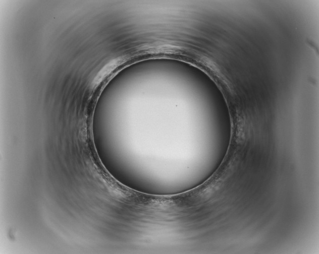 X0000100230978200805301409