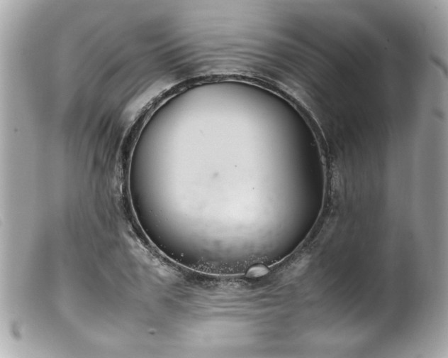 X0000100230979200805301409
