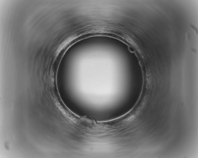 X0000100230981200805301409