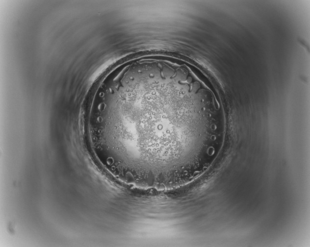 X0000100230983200805301409