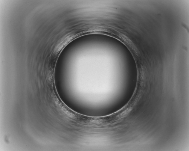 X0000100230985200805301409