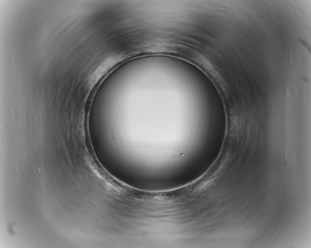 X0000100230986200805301409