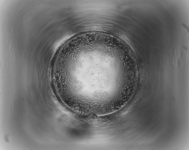 X0000100230987200805301409