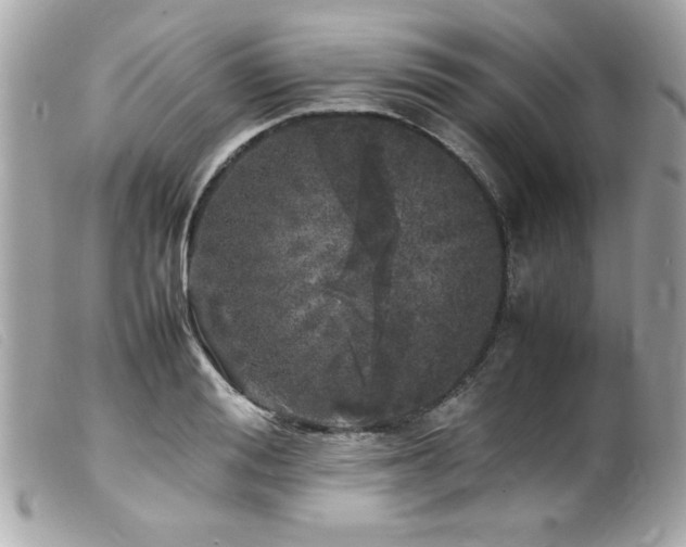 X0000100230988200805301409