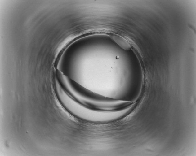 X0000100230989200805301409