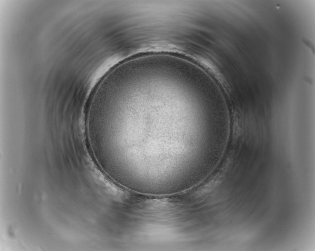 X0000100230990200805301409