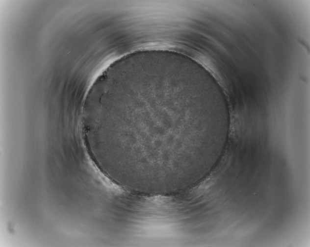 X0000100230992200805301409