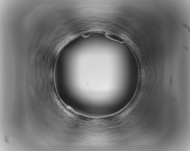 X0000100230993200805301408