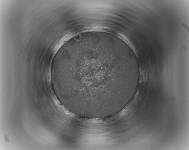 X0000100230994200805301408