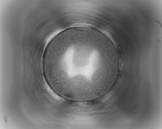 X0000100230995200805301408