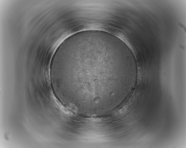 X0000100230996200805301408