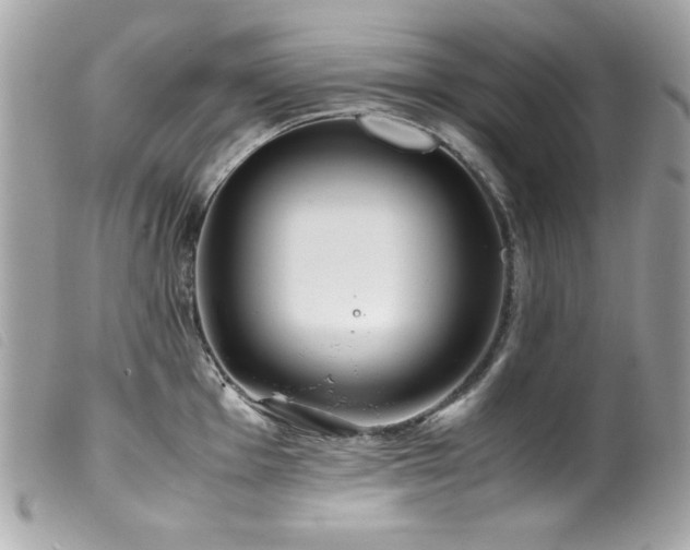 X0000100231001200805301408