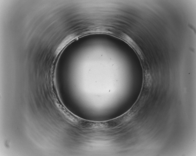 X0000100231002200805301408