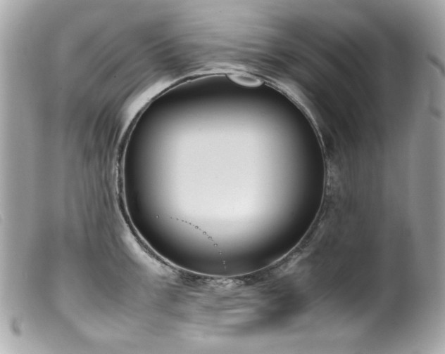 X0000100231003200805301408