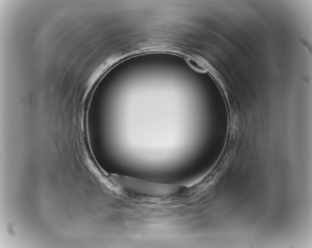 X0000100231005200805301408