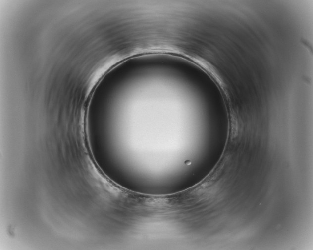 X0000100231006200805301408